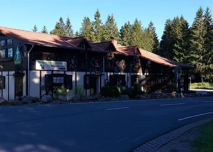 M.spindler * فراونوالد